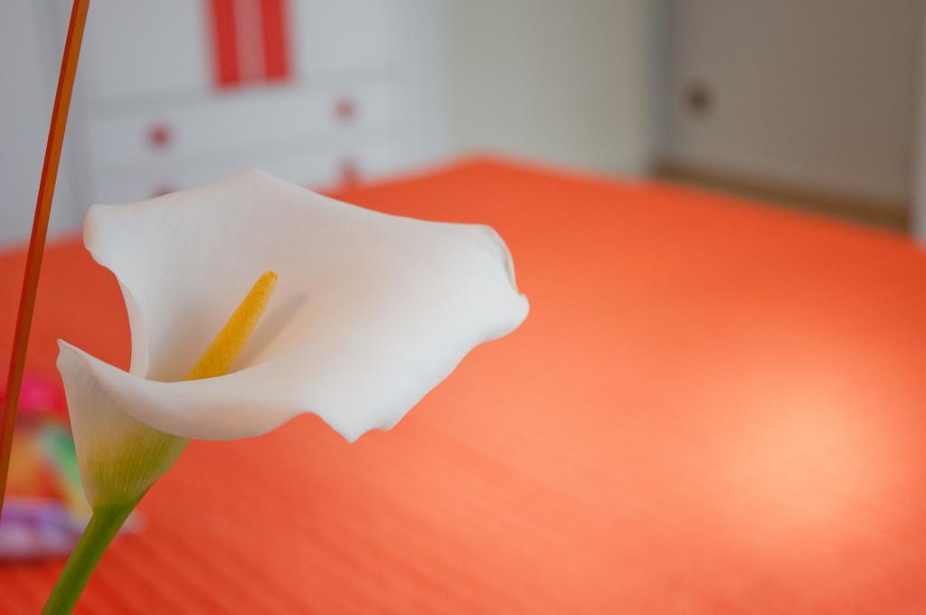 Hotel La Rosetta